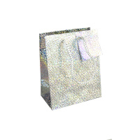 Пакет подарочный голографический WQ019S СЕРЕБРЯНЫЙ, размер S (11,5х6,5х14,5 см)