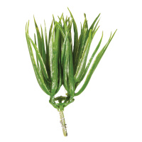 Декоративные цветы "искуственная трава ванильная" Rayher 55734000 (1 блистер х 6 шт)