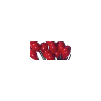 Набор декоративных элементов "ягоды" Rayher 5122118 (1 блистер х )