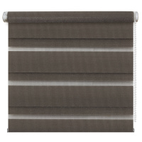 Рулонная штора "День-Ночь" темный Мокко 52х170 см (4601000740307)