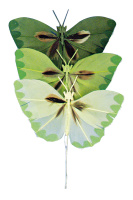 Набор декоративных элементов "бабочки" Rayher 8518313 (1 блистер х 6 шт)