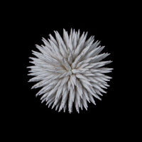 Цветок из кожзама HD1235-5 белый