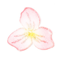 Аппликация пришивная "Цветок" 6-RH605 розовый