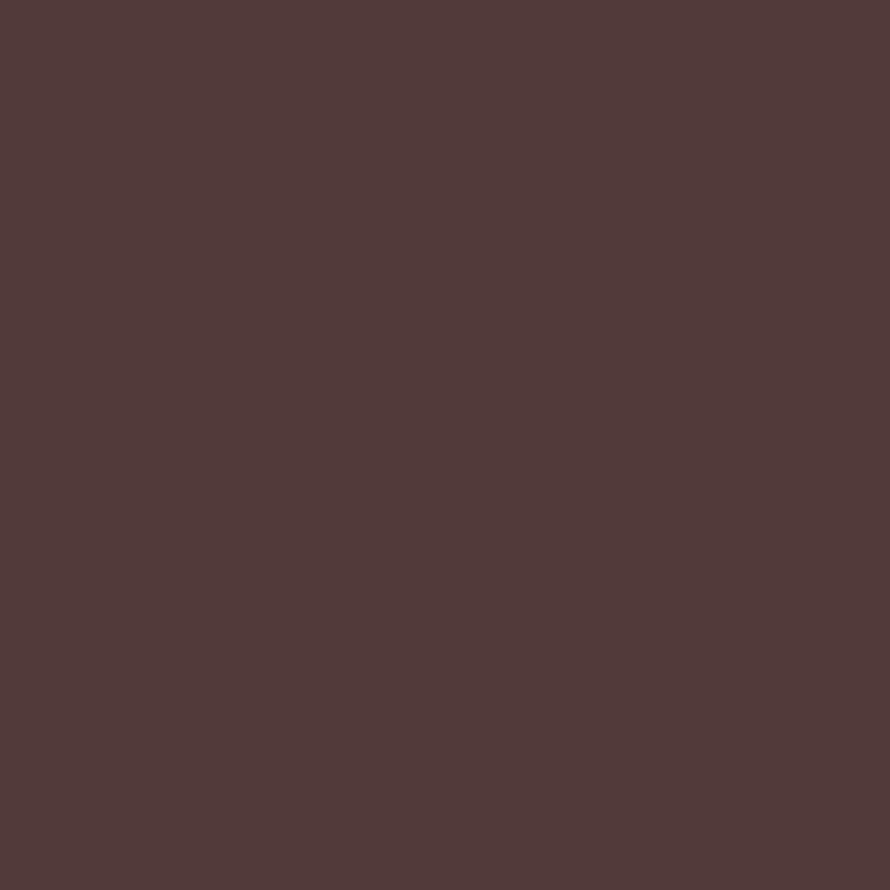 Молния М4 металлическая 456365-881 Prym 65 см тёмно-коричневая (1уп - 1шт)
