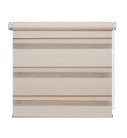 Рулонная штора "День-Ночь" Бежевая 52*170 (4601000740284)