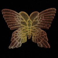 Аппликация пришивная "Бабочка" 9-RC03 темно-коричневая