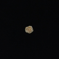 Украшения объемные