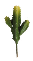 Декоративный колоннообразный кактус Rayher 55779000
