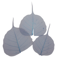 Листья сухие для декора Rayher 8500610 (1 блистер х )
