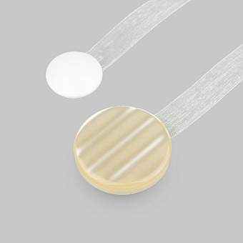 Магниты для штор круглые шторные круглые магниты