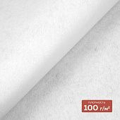 Флизелин клеевой (сплошной) 1080 HF DextraTex (100 г/кв. м) белый 100 см